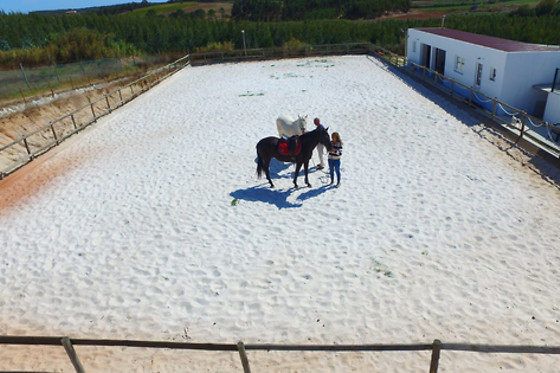 Quinta do Forno - photo 4