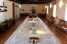 BODEGAS Y VIÑEDOS CASA DEL VALLE