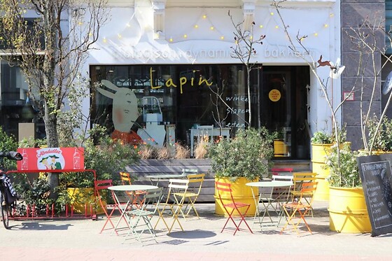 BDB Lapin - photo 0