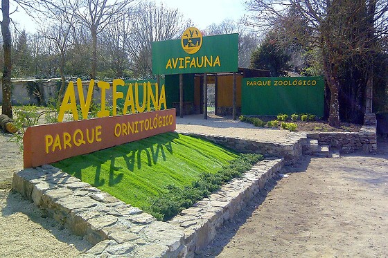 AVIFAUNA - photo 0