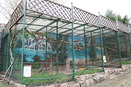AVIFAUNA
