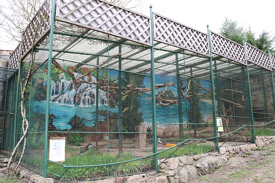 AVIFAUNA - photo 9