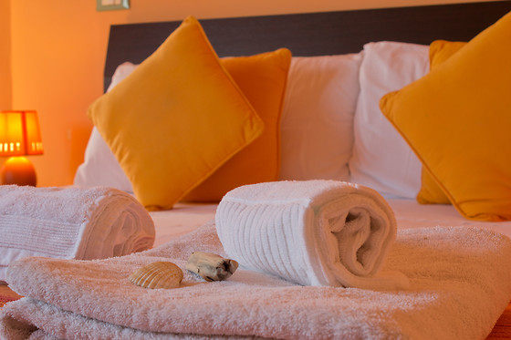 B&B Oasis - photo 1