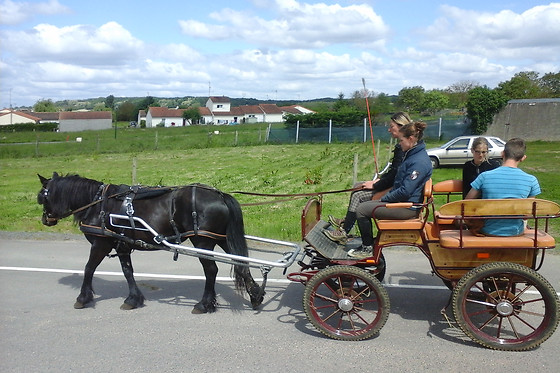 Le Haras des Ouches - photo 0