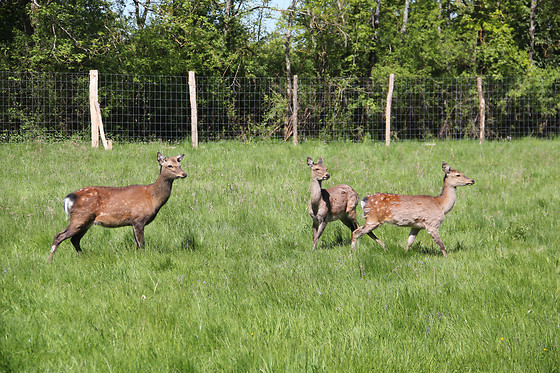 Domaine de la Dombes - photo 0