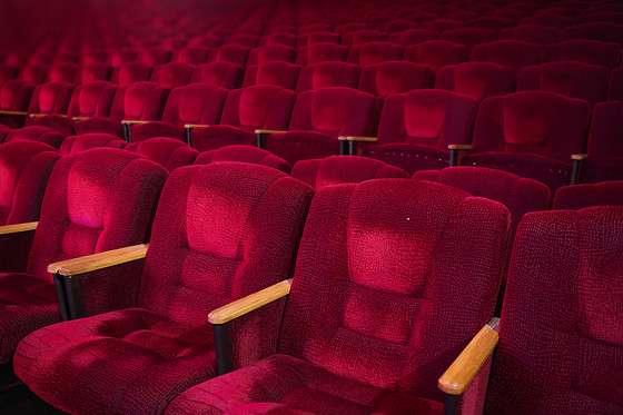 VIU EL TEATRE - photo 8