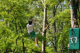Natura Game
