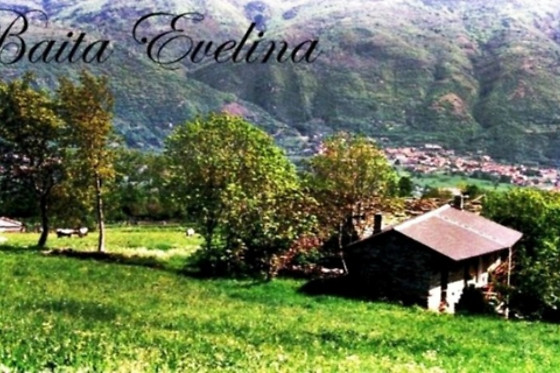 B&B Baita Evelina - photo 3
