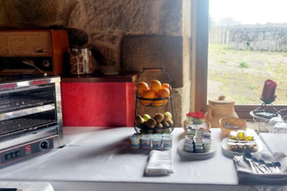 HOTEL PAZO SAN DAMIAN - photo 3
