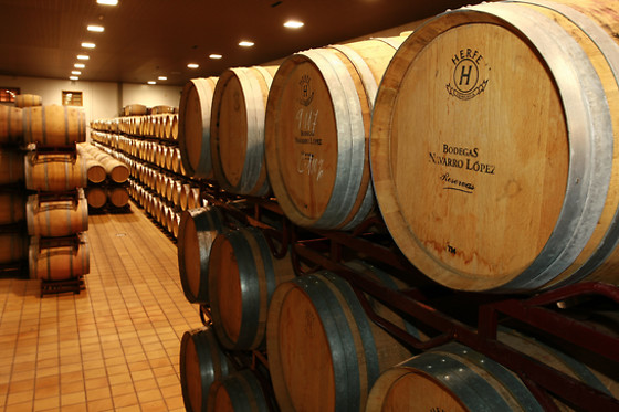 BODEGAS NAVARRO LÓPEZ - photo 1