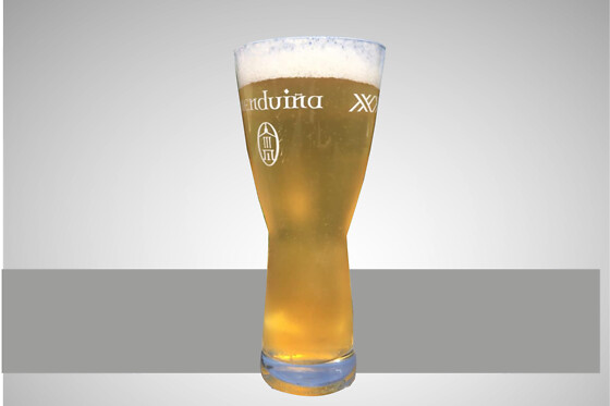 CERVEZA MENDUIÑA - photo 7