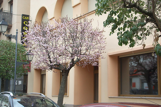 HOTEL CAN COSTA - photo 8