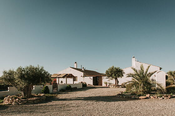 FINCA EL POCICO - photo 20