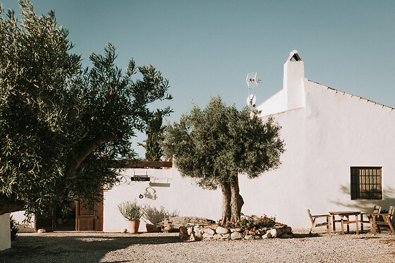 FINCA EL POCICO - photo 23
