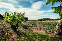 VILOSELL WINE HOTEL