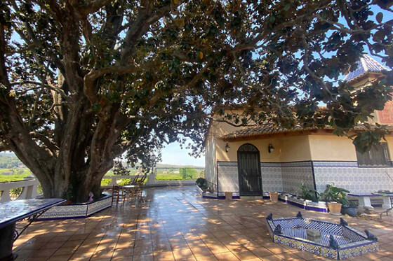 CASA MAGNOLIA ALQUERIA - photo 9