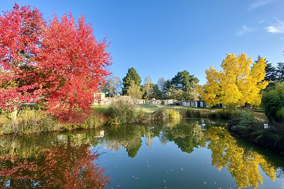 Les Jardins de l'Anjou - photo 16