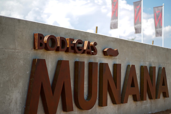 BODEGAS MUÑANA - photo 2