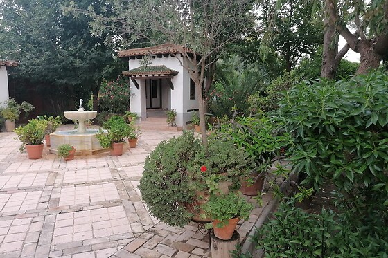 PAELLA TRAVEL - photo 13